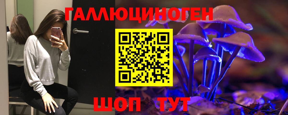 Псилоцибиновые грибы Psilocybe Карасук